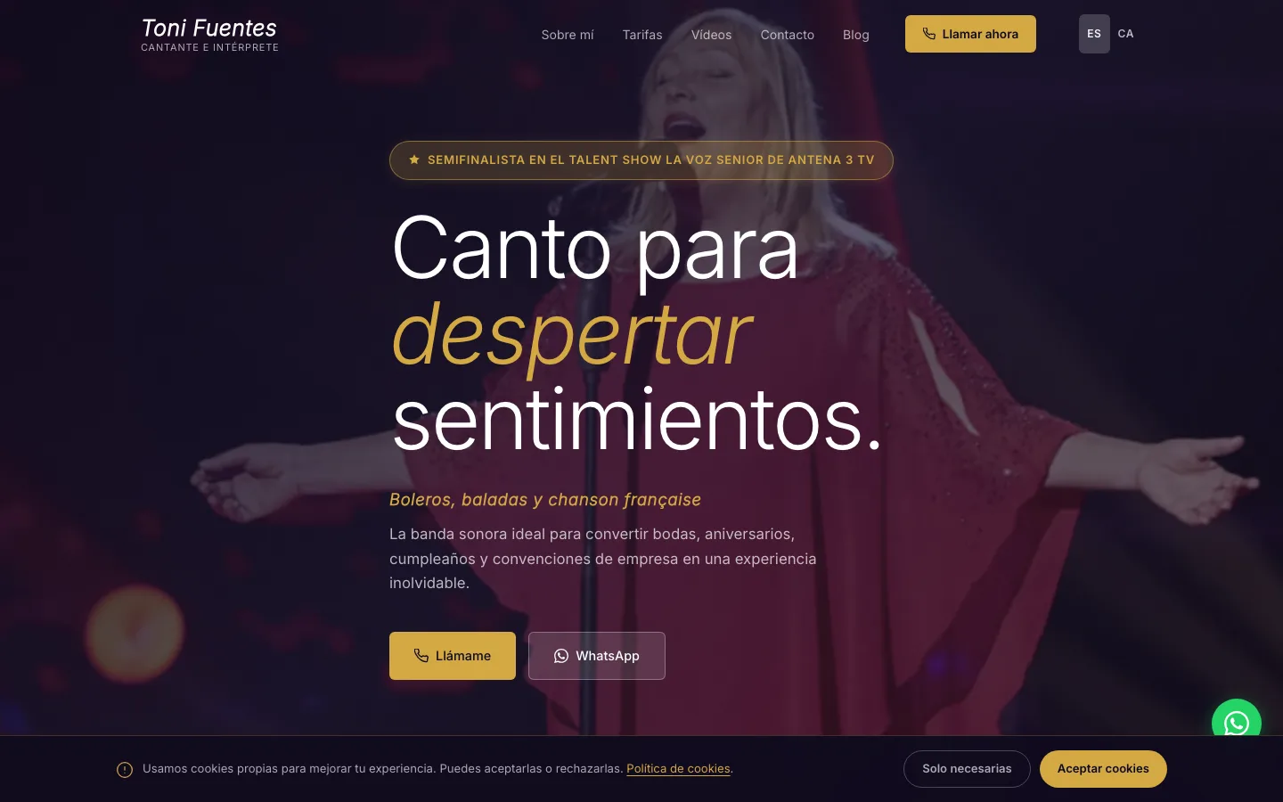 Website for Toni Fuentes, singer